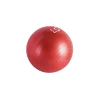 Rehaball für Übungen mit einer Line Sport Pumpe