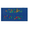 Lyapko-Matte mit Chance-Massagenadeln