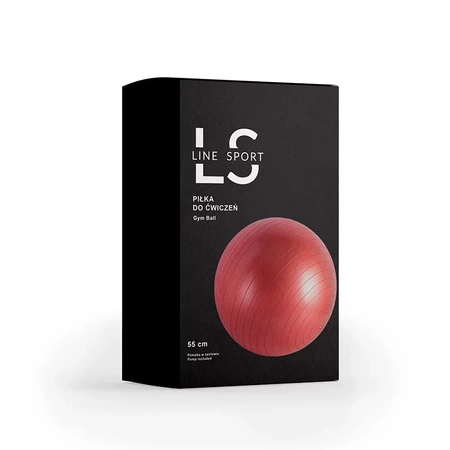 Rehaball für Übungen mit einer Line Sport Pumpe