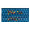 Lyapko-Matte mit Chance-Massagenadeln
