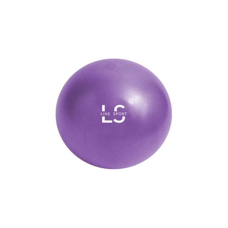 Reha-Gymnastikball mit Line Sport Pumpe, 22 cm