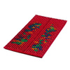 Lyapko-Matte mit Chance-Massagenadeln