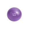Reha-Gymnastikball mit Line Sport Pumpe, 22 cm