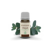 Ätherisches Bosphaera-Eukalyptusöl 10 ml