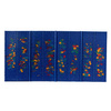 Lyapko-Matte mit Massagenadeln Komfort Chance 6,2 x 4